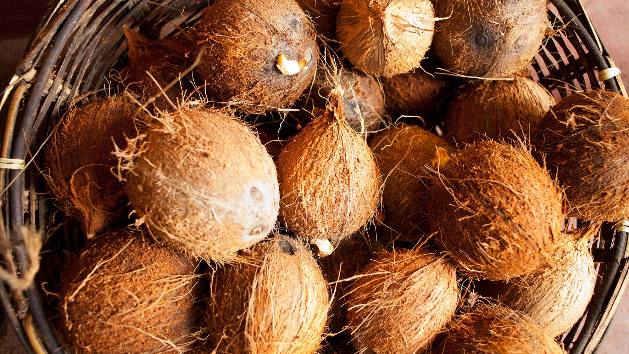 Learn how to husk and scrape a coconut Nanuku Resort