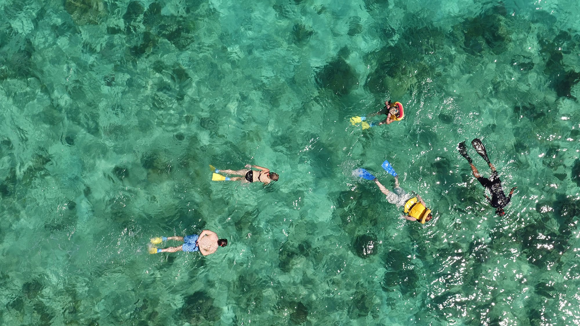 Snorkel the legendary Beqa Lagoon - Nanuku Resort