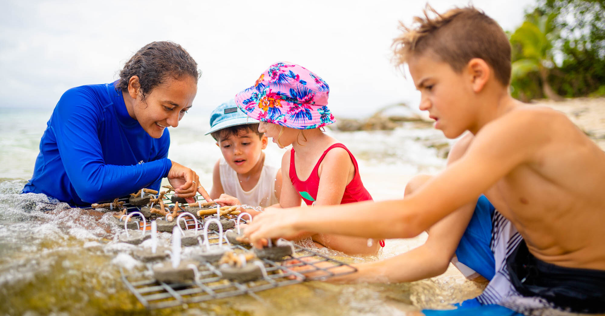 Coral Planting