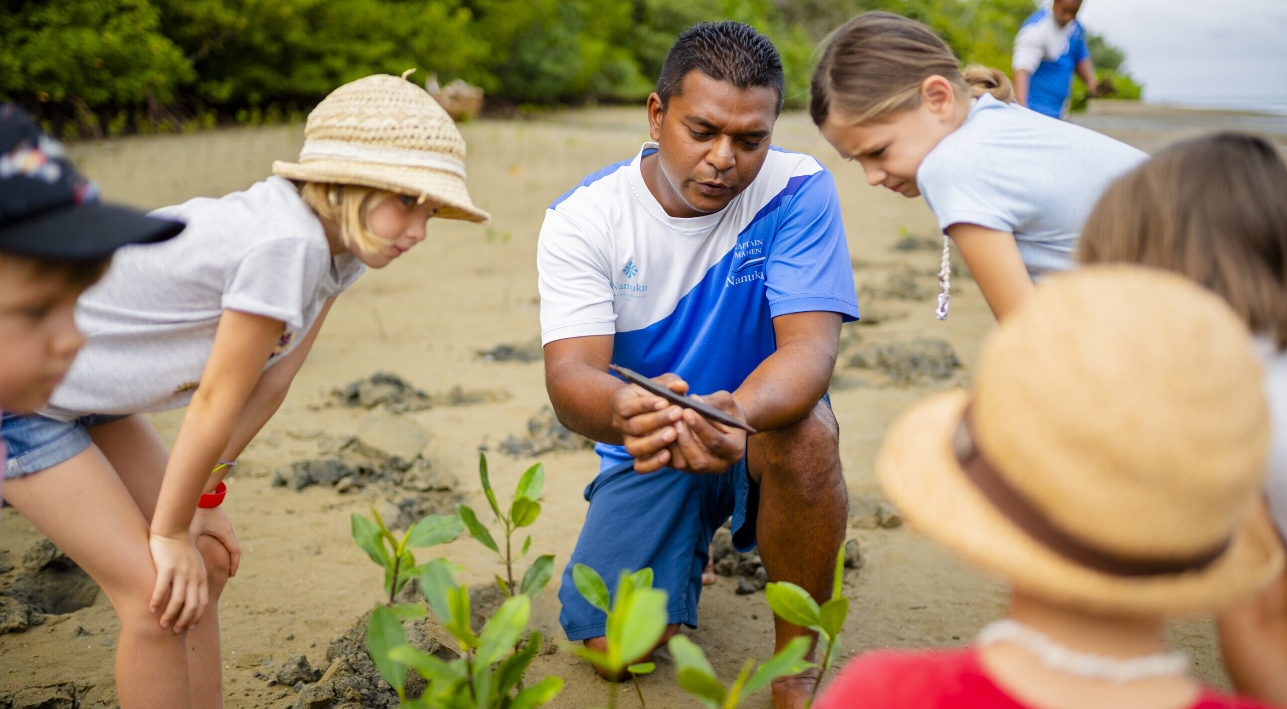 Mangrove Planting